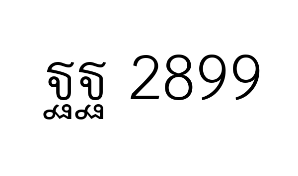 ฐฐ 2899